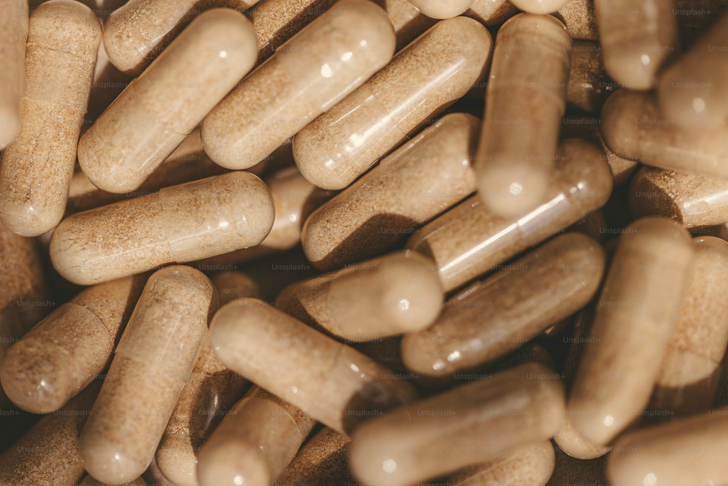 Ashwaganda Root Extract